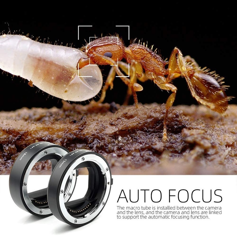 Meike MK-RF-AF1 Metal Auto Foc - Canon Camera Eos R8 ulasan dan harga